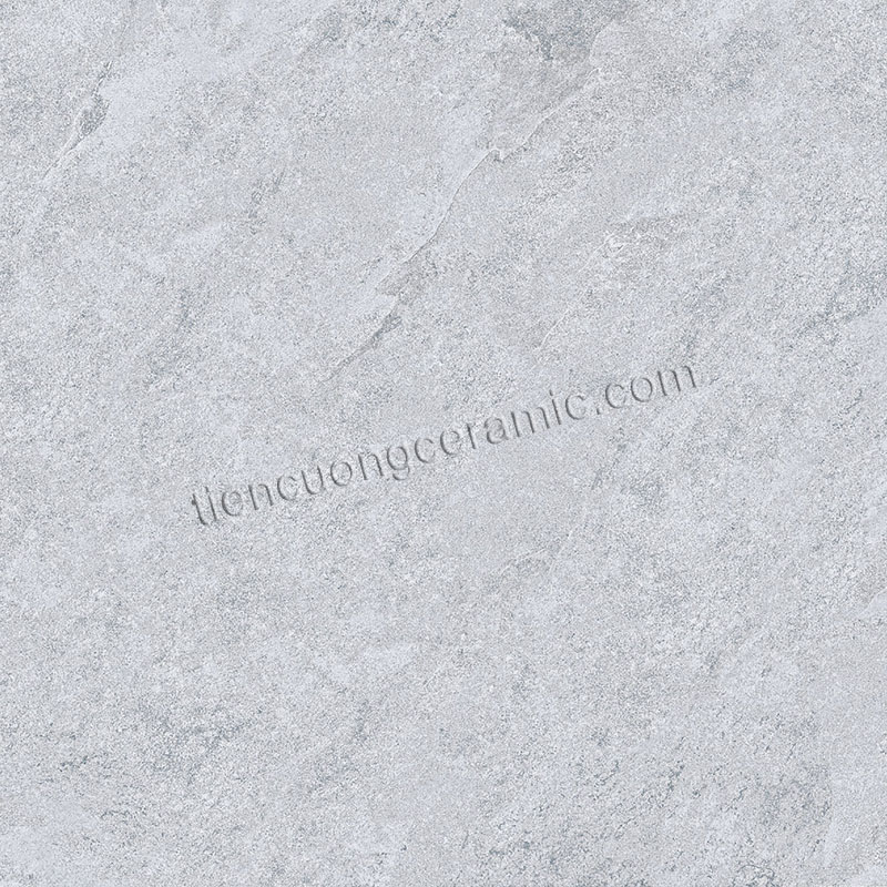 BS524-F2