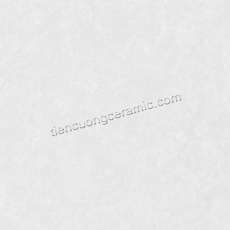 SH25GSMC101003-F2