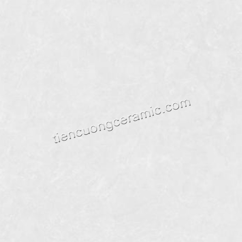SH25GSMC101003-F4