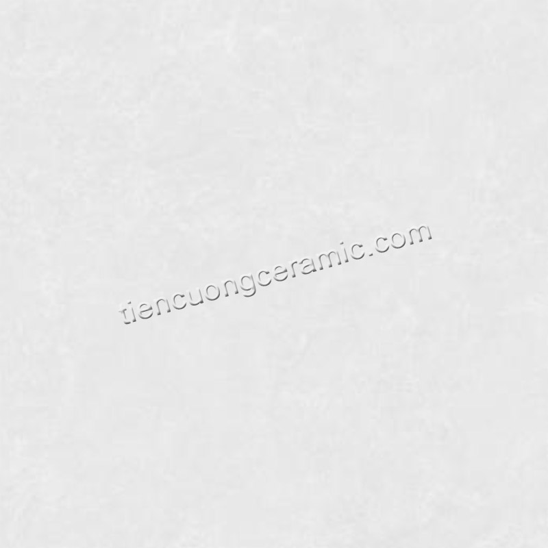 SH25GSMC101003-F5
