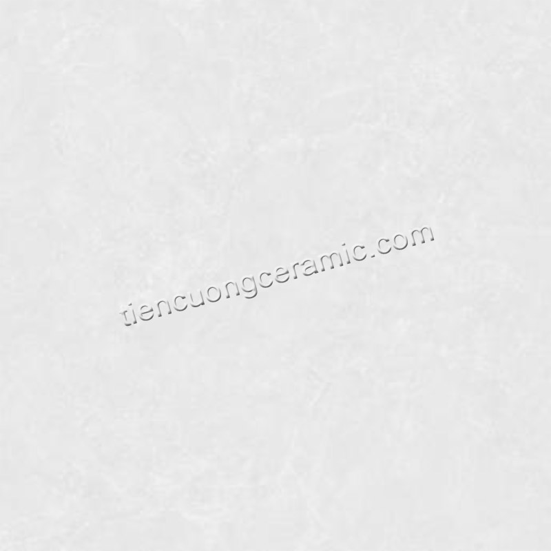 SH25GSMC101003-F6